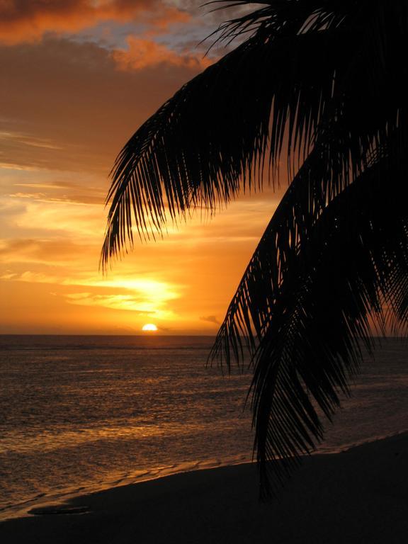 Motu Beachfront Art Villas Rarotonga Rom bilde